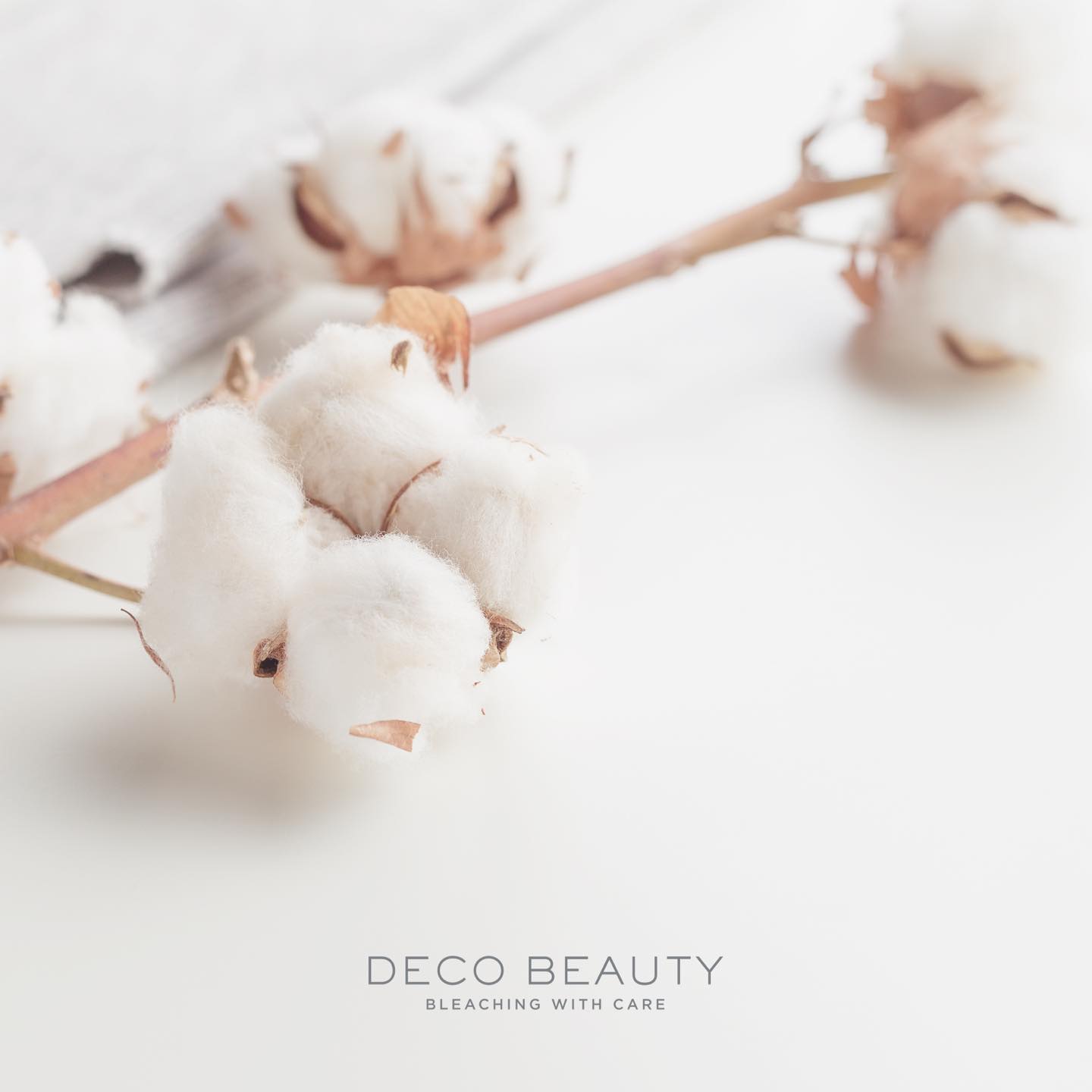 Deco Beauty editorial 6